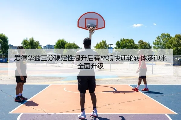 爱德华兹三分稳定性提升后森林狼快速轮转体系迎来全面升级